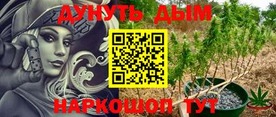 амф Кингисепп