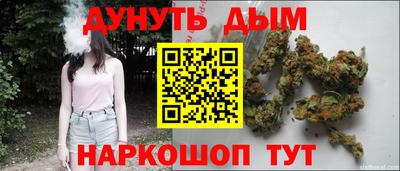 амф Кингисепп