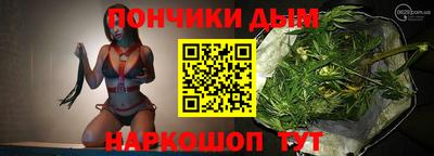 амф Кингисепп