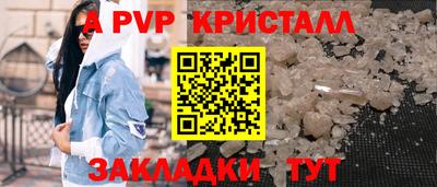 амф Кингисепп